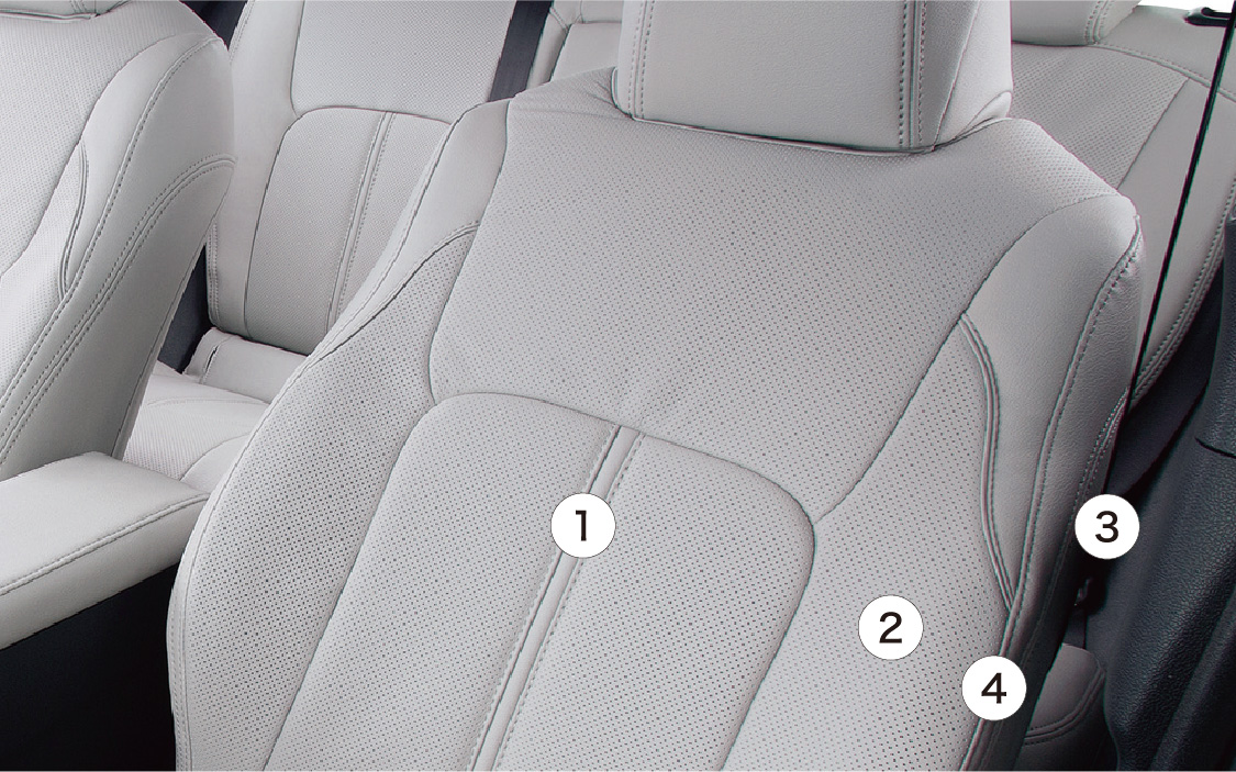 シートデザインとシートライン